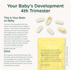 Healthybaby HealthyNest Prenatal Vitamin - Pregnancy Support