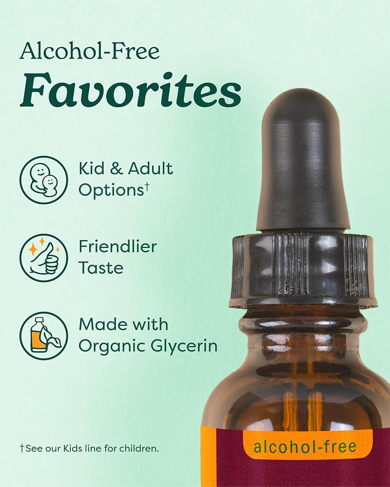 Herb Pharm Organic Kids Herbal Hug: Nervous System Support