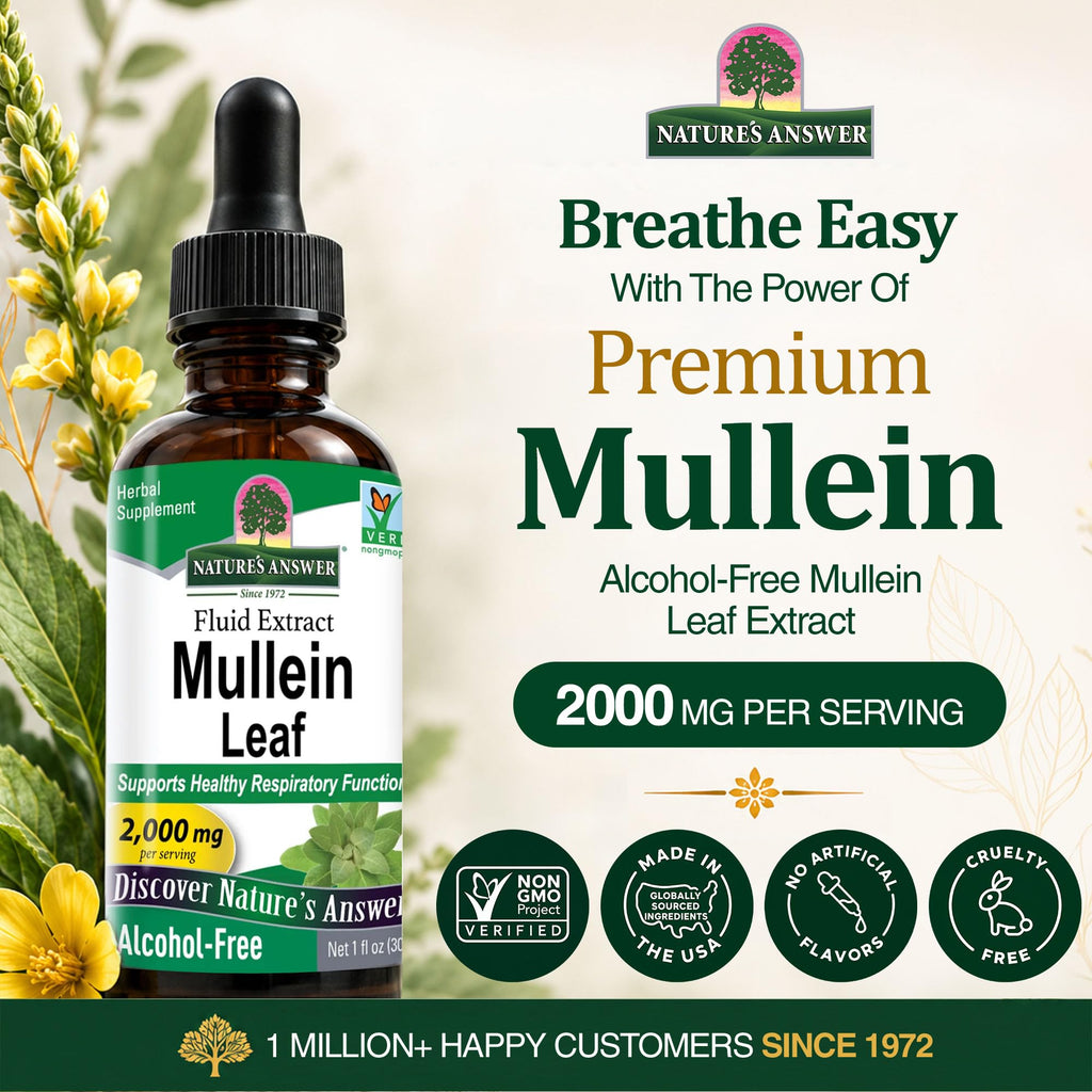 Nature's Answer Mullein Leaf Herbal Supplement - 1 Fl Oz - image 2