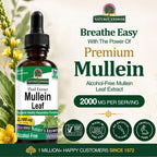 Nature's Answer Mullein Leaf Herbal Supplement - 1 Fl Oz - image 2