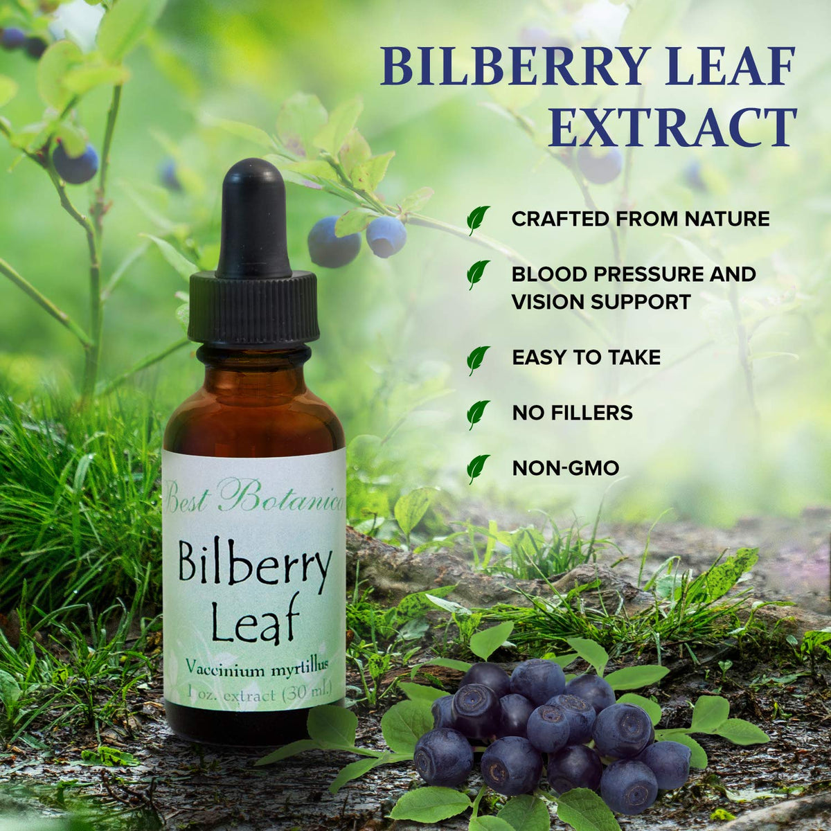 Best Botanicals Bilberry Leaf Extract - 1 Fl Oz - image 3