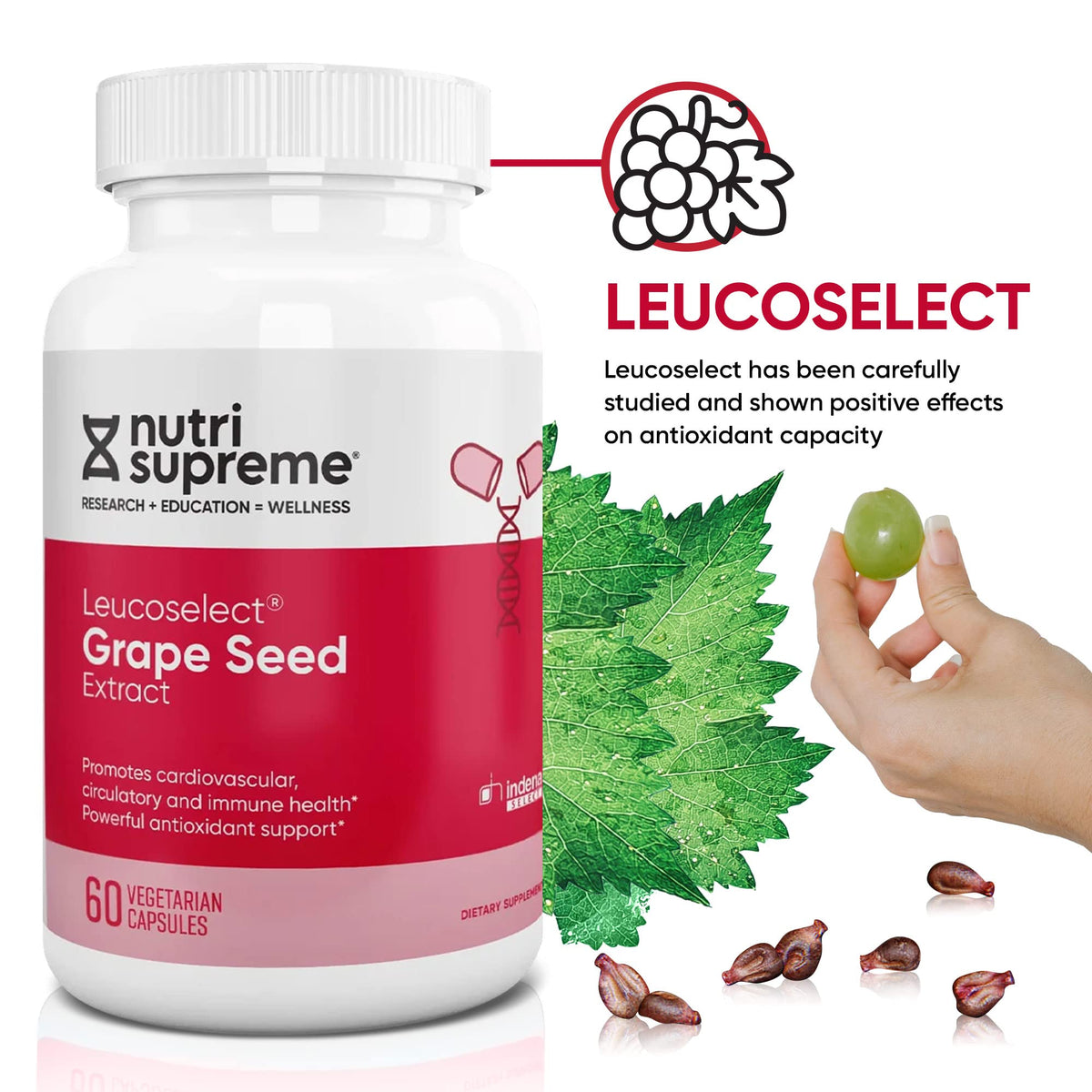 Nutri Supreme Grapeseed Extract Leucoselect - 60 Capsules - image 4