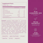 PHARMANUTRA SiderAL Folic Iron Supplement - image 6