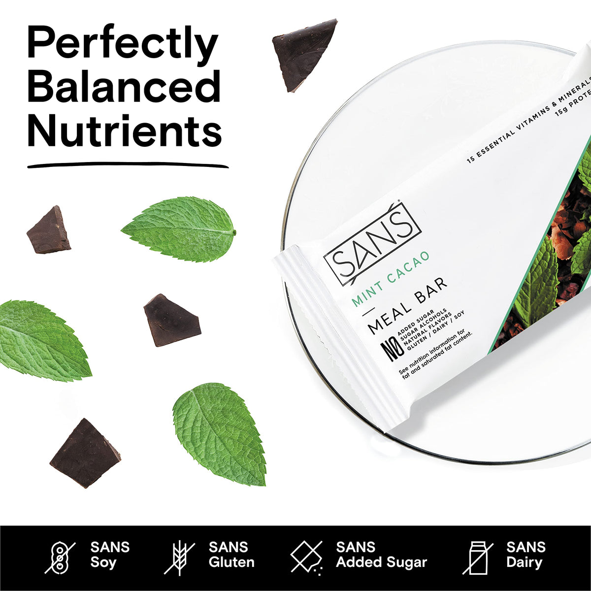 SANS Meal Replacement Protein Bars, Clean Energy Bars,12 Bars
