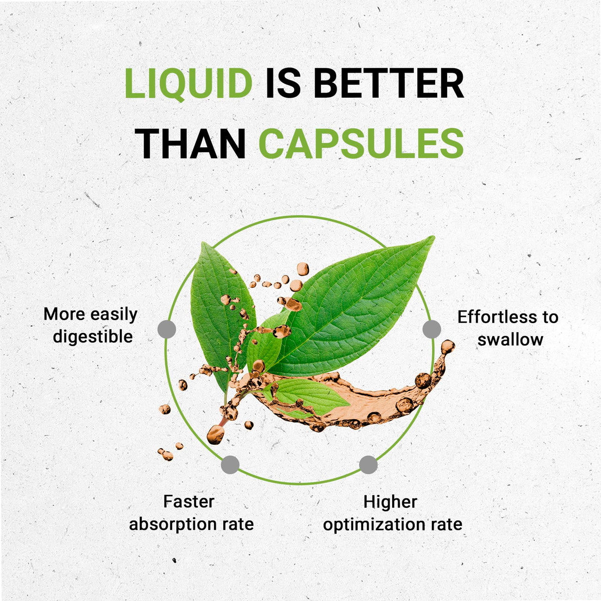 Secrets of the Tribe Cat's Claw Tincture Alcohol-Free Liquid Extract - 2 FL OZ - image 2