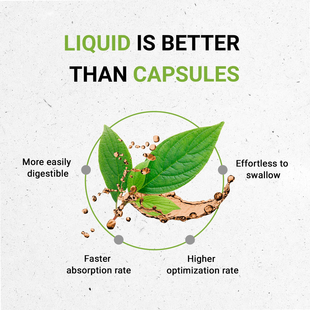 Secrets of the Tribe Kelp Tincture Alcohol-Free Liquid Extract