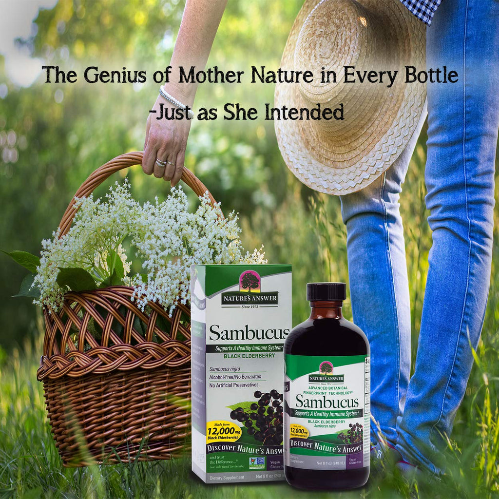 Nature's Answer Sambucus Elderberry Extract Immune Support - 16 Fl Oz - image 7