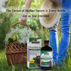 Nature's Answer Sambucus Elderberry Extract Immune Support - 16 Fl Oz - image 7