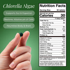 ENERGYBITS RECOVERYbits Organic Chlorella Tablets - 900 Tablets - image 4