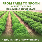 bixa BOTANICAL Stevia Leaf Powder - 200 Grams - image 3