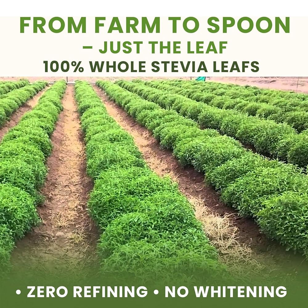 bixa BOTANICAL Stevia Leaf Powder - 200 Grams - image 3