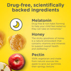 Zarbee's Kids Melatonin Gummy