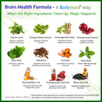 Bodymune Brain Health Formula Organic Nootropic - 60 Capsules - image 5