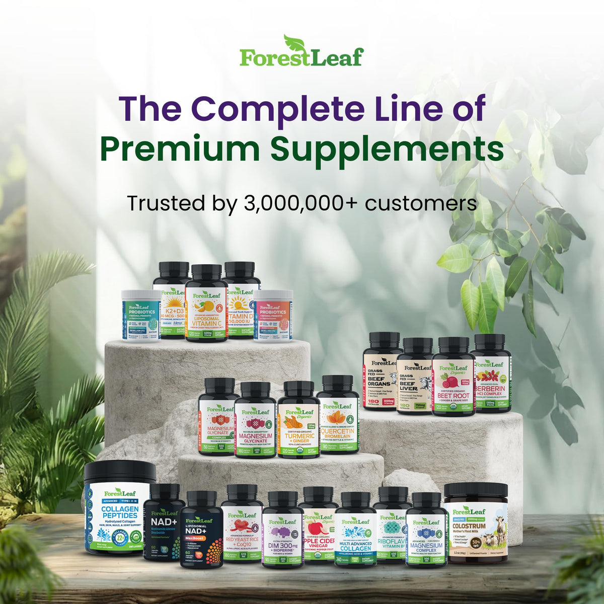 ForestLeaf Glucosamine Chondroitin MSM Joint Support - 120 Capsules - image 7