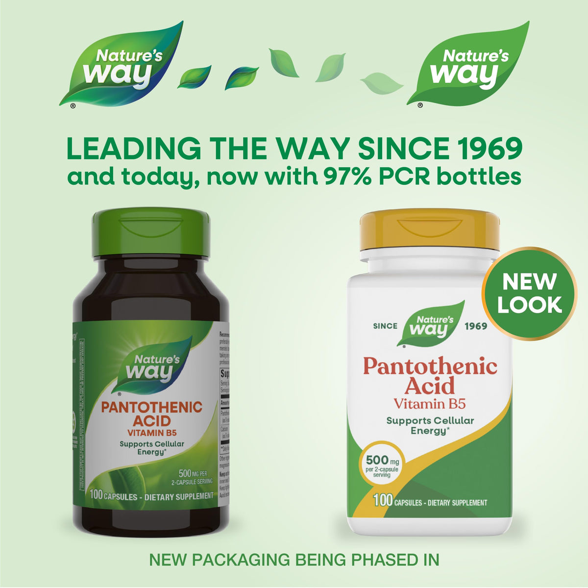 Nature's Way Pantothenic Acid Capsules for Energy - 100 Capsules - image 2