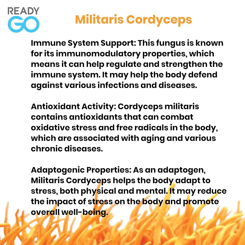 READYGO Cordyceps Militaris Mushroom Capsules with Ginseng - 30 Capsules - image 6