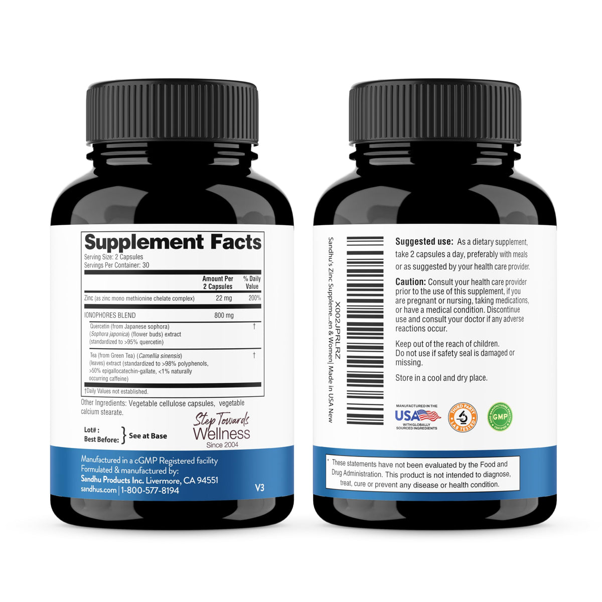 Sandhu's Zinc Supplement with Ionophores