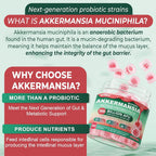 Nextdia Akkermansia Probiotics Gummies with Prebiotics - 60 Count - image 3