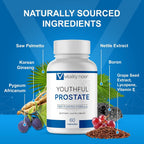 Vitality Now Youthful Prostate