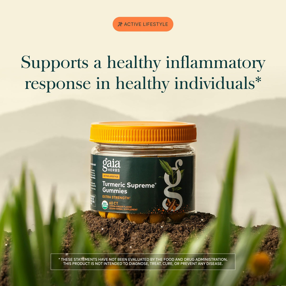 Gaia Herbs Turmeric Supreme Extra Strength Gummies - 60 Count - image 3