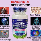 Nikoni Liposomal Spermidine