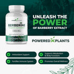 POWERED X PLANTS Pure Berberine Supplement - 1300mg Berberine
