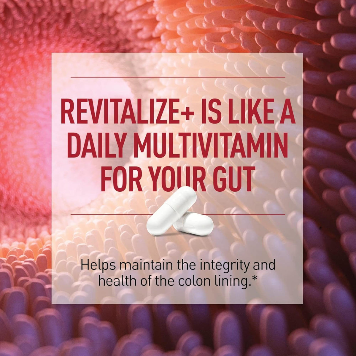 Health Plus Revitalize+ Postbiotic Gut Health Supplement - 60 Capsules - image 5
