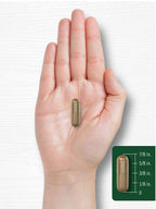 Carlyle Fennel Seed 480mg Herbal Supplement - 200 Capsules - image 7