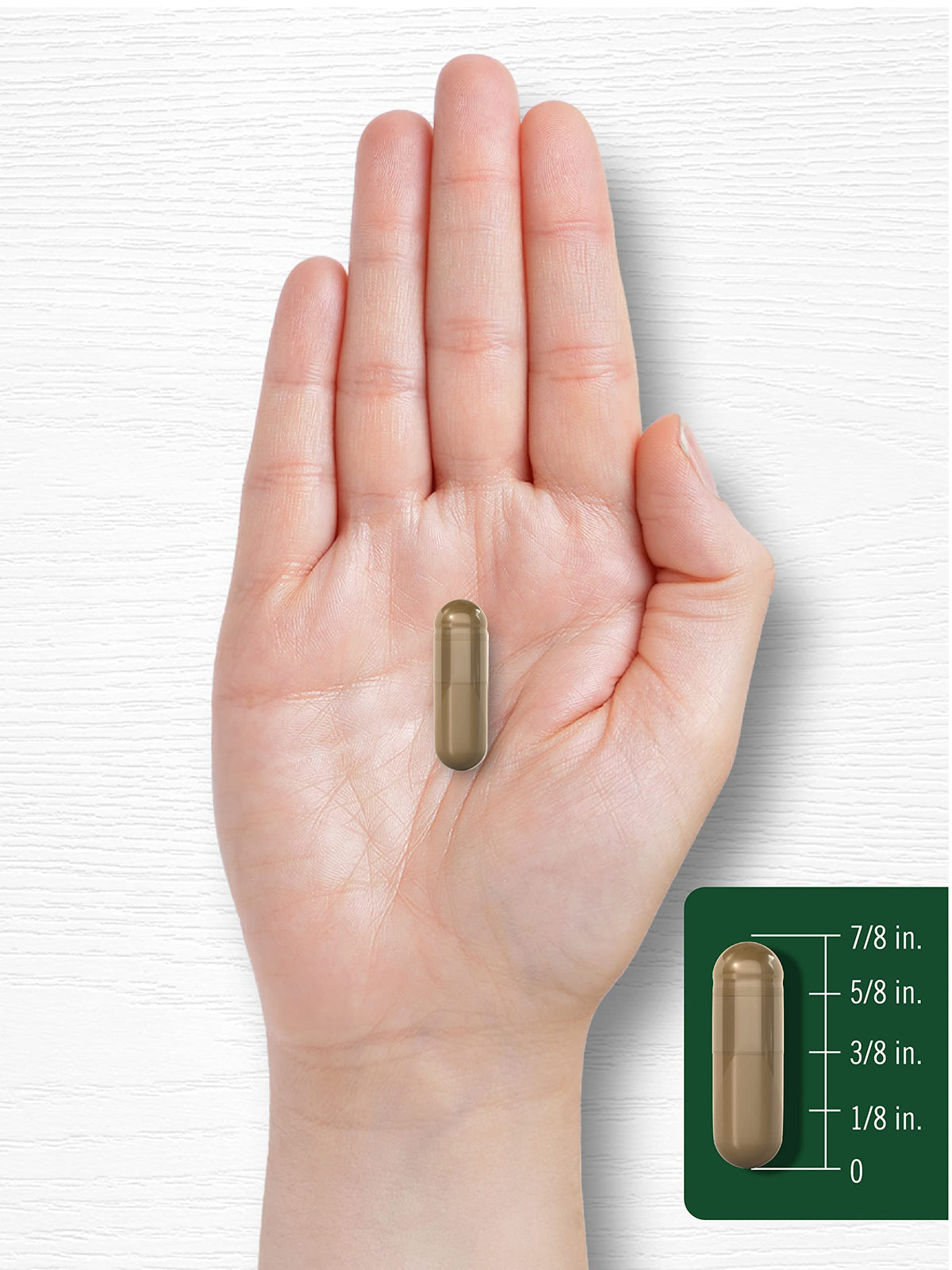 Carlyle Fennel Seed 480mg Herbal Supplement - 200 Capsules - image 7