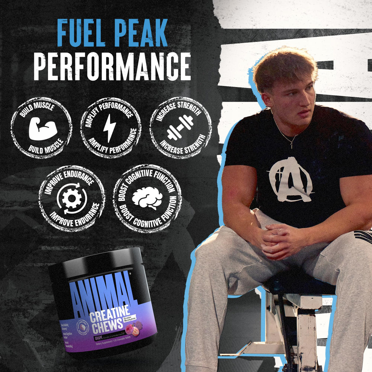 Animal Creatine Monohydrate Chews - Men & Women