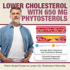 RHP Advanced Cholesterol Health Complex with Plant Sterols - 120 Capsules - image 3