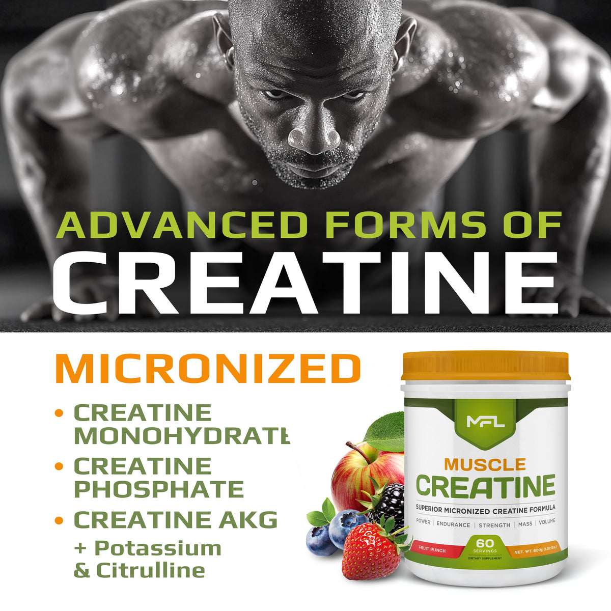 MFL Muscle Creatine