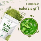 Micro Ingredients Organic Kale Powder - 2 Pounds - image 5