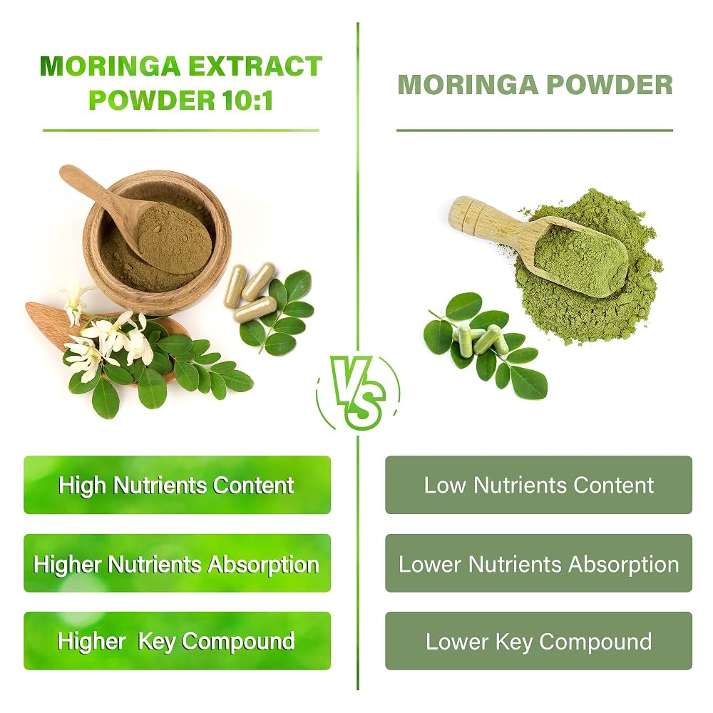 FitVitality Moringa Oleifera Leaf Extract Capsules - 300 Count - image 3