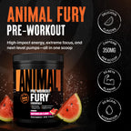 Animal