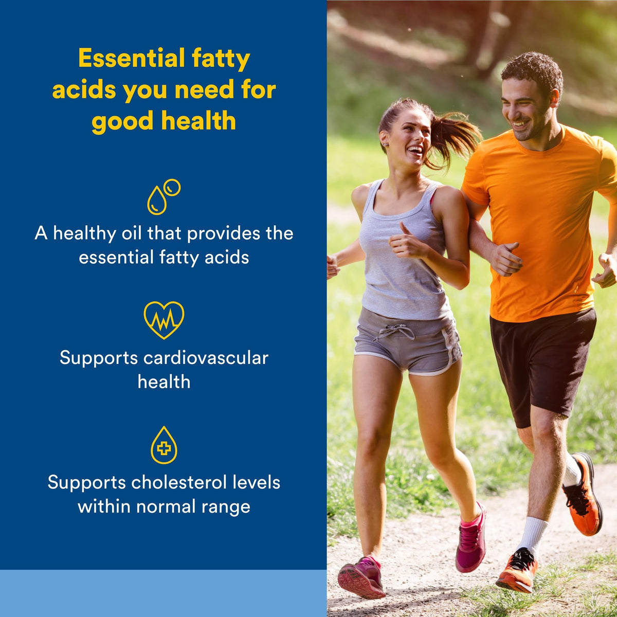 Natural Factors Omega Factors Flaxseed Oil - 180 Softgels - image 2