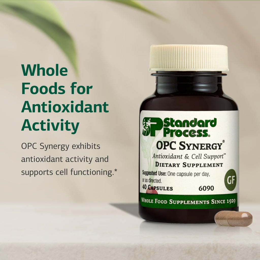 Standard Process OPC Synergy Brain & Eye Health Support - 150 Tablets - image 3