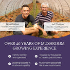 Real Mushrooms Zinc and Vitamin D2 Capsules – 120 Count - image 8