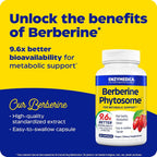 Enzymedica Berberine Phytosome High Absorption - 60 Capsules - image 3