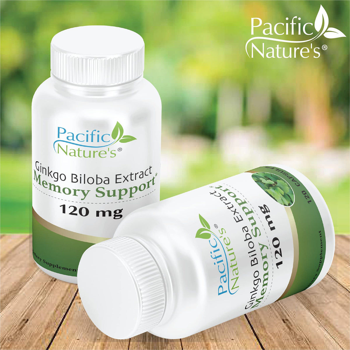 Pacific Nature's Ginkgo Biloba 120mg Memory Support - 120 Capsules - image 2
