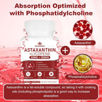 Spliferkou Astaxanthin and Lycopene Antioxidant - 60 Capsules - image 5