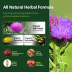 Herbmood Silymarin Milk Thistle Liver Detox Capsules