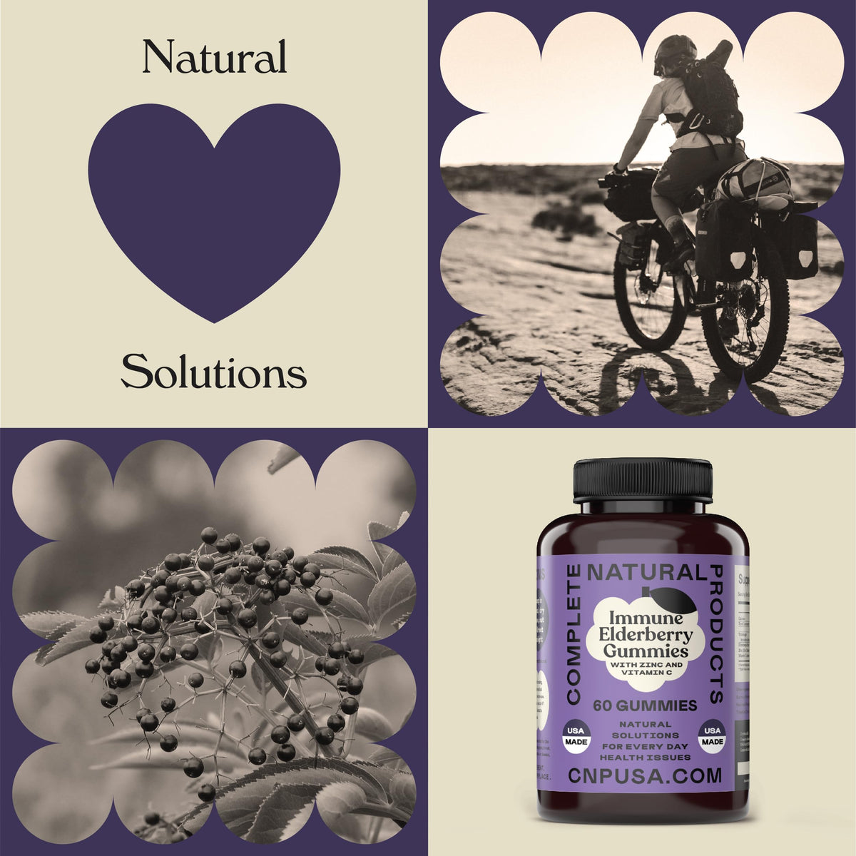 Complete Natural Products Elderberry Gummies with Zinc & Vitamin C - 60 Count - image 6