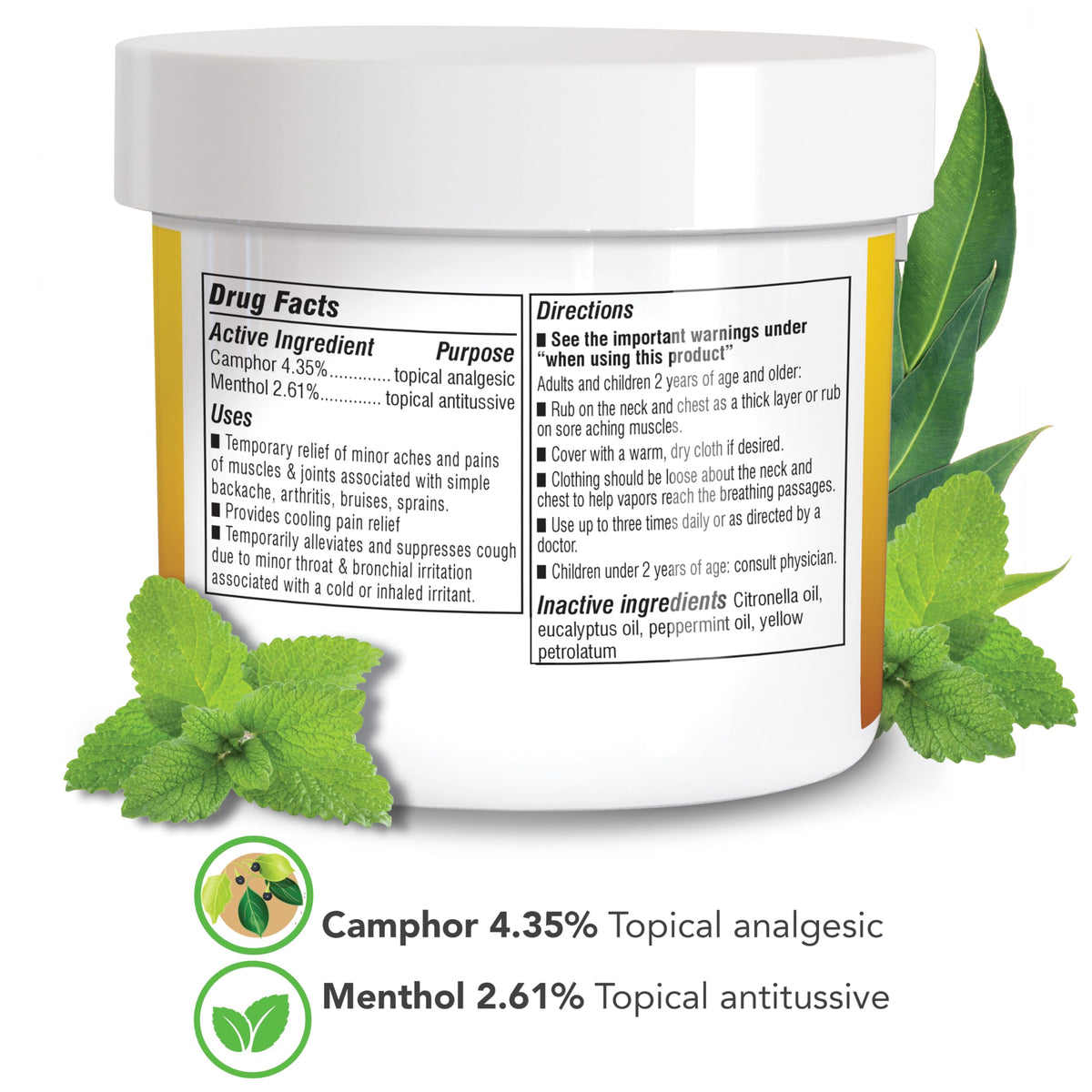 Botanic Choice Eucamint Pain Relieving Ointment Muscle & Joint Support - 2 oz - image 2