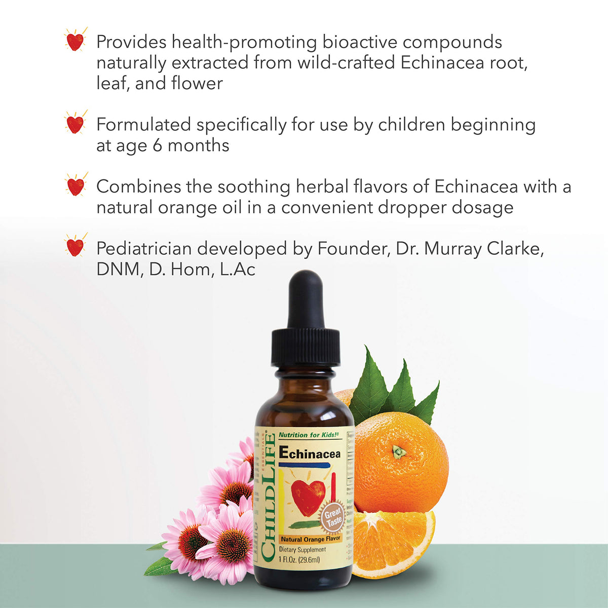 ChildLife Essentials Echinacea Liquid - 1 Fl Oz - image 3