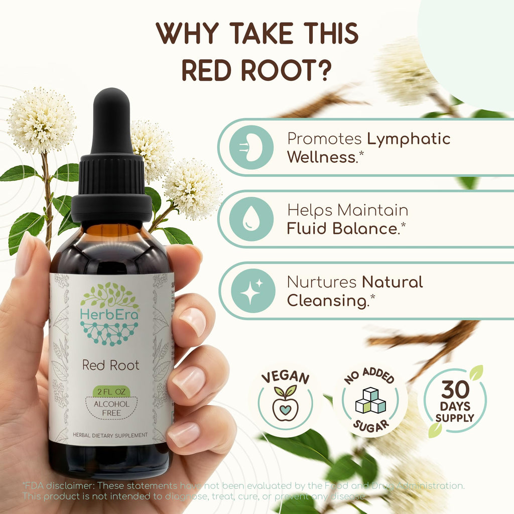 HerbEra Red Root Alcohol-Free Herbal Extract Tincture