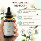 HerbEra Red Root Alcohol-Free Herbal Extract Tincture