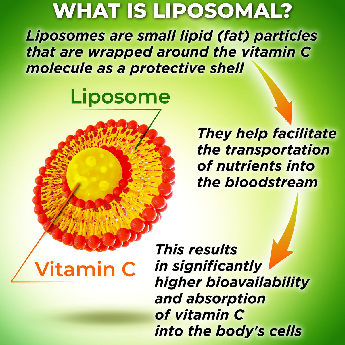 SUPPLEMENTS STUDIO Liposomal Vitamin C Capsules - Organic Acerola