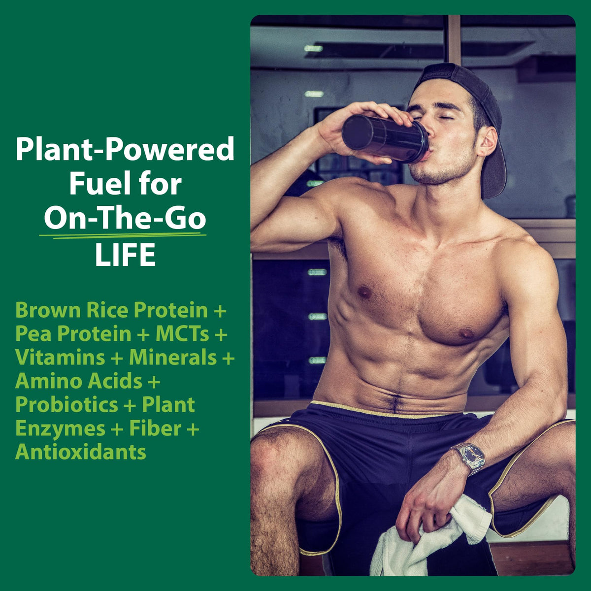 MacroLife Naturals Macromeal Protein & Greens Powder