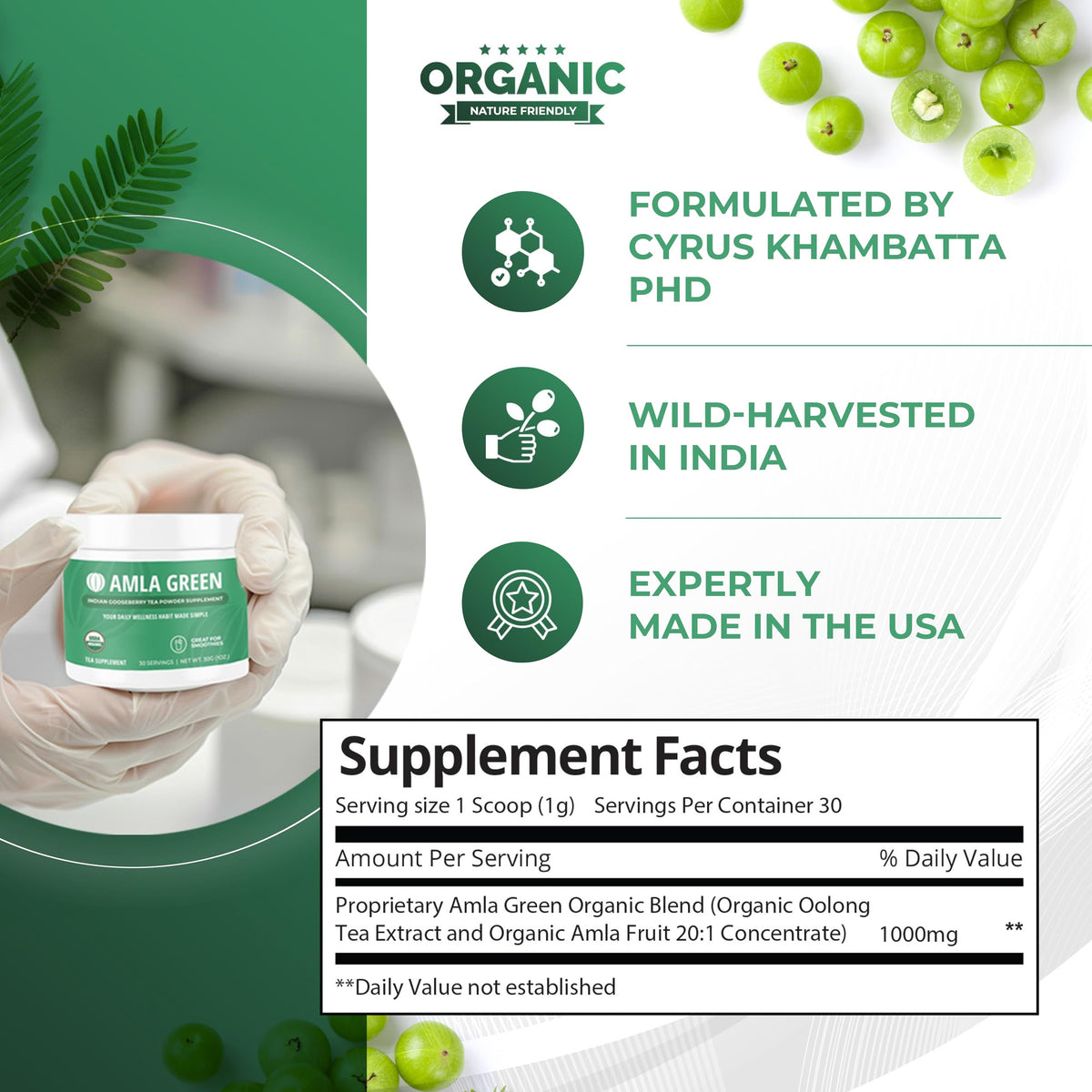 Amla Powder & Green Tea Superfood Supplement